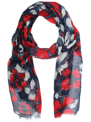 Kiton Scarf