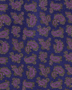 Stefano Ricci Silk Tie Purple Olive Pink Paisley