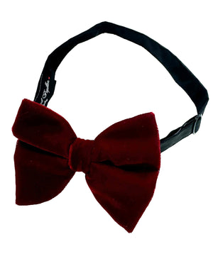 Le Noeud Papillon Bow Tie Bordeaux Velvet Large Butterfly