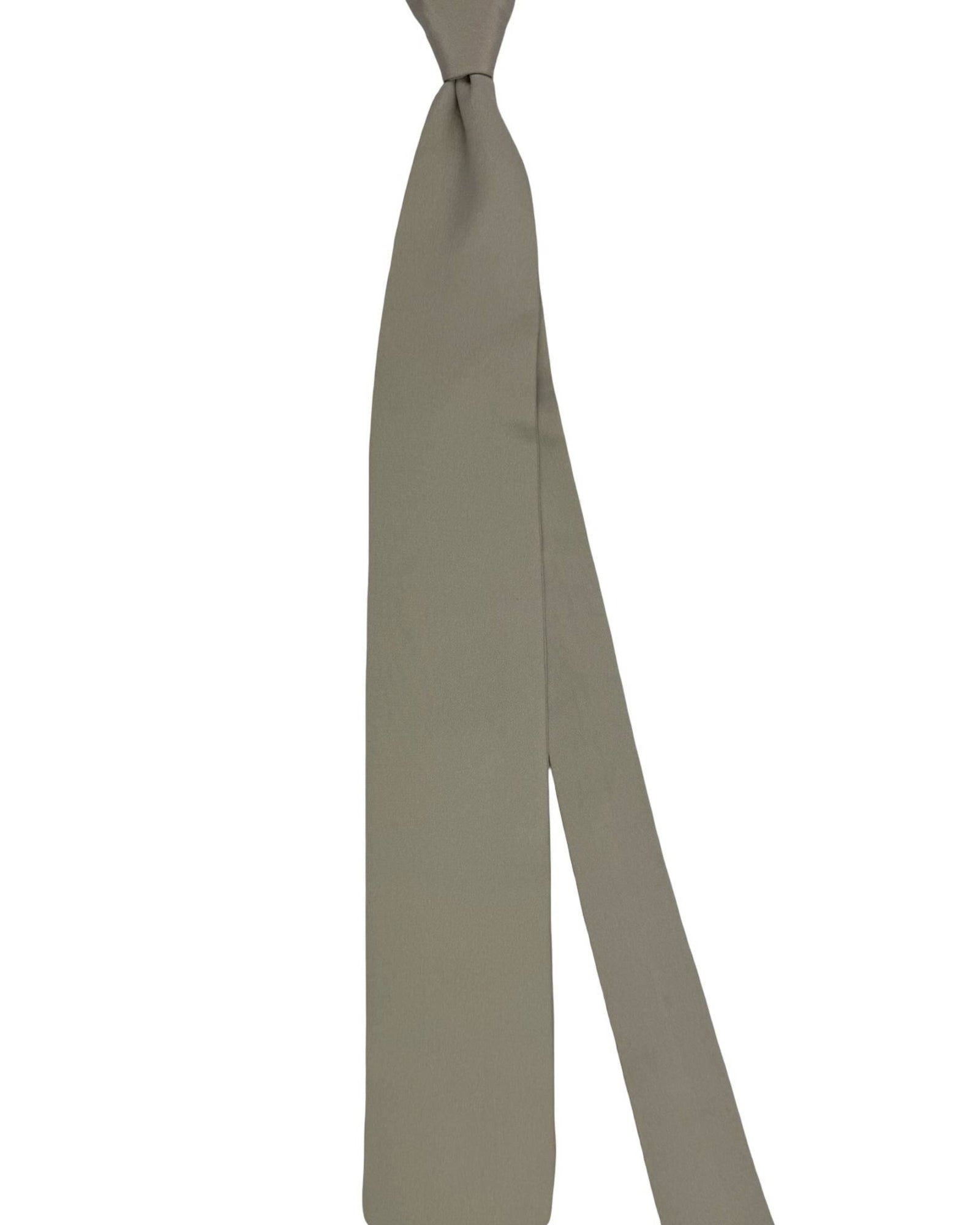 Ermenegildo Zegna Tie Light Grey Solid - XXX Couture - 2 Sided