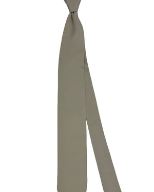 Ermenegildo Zegna Tie Light Grey Solid - XXX Couture - 2 Sided
