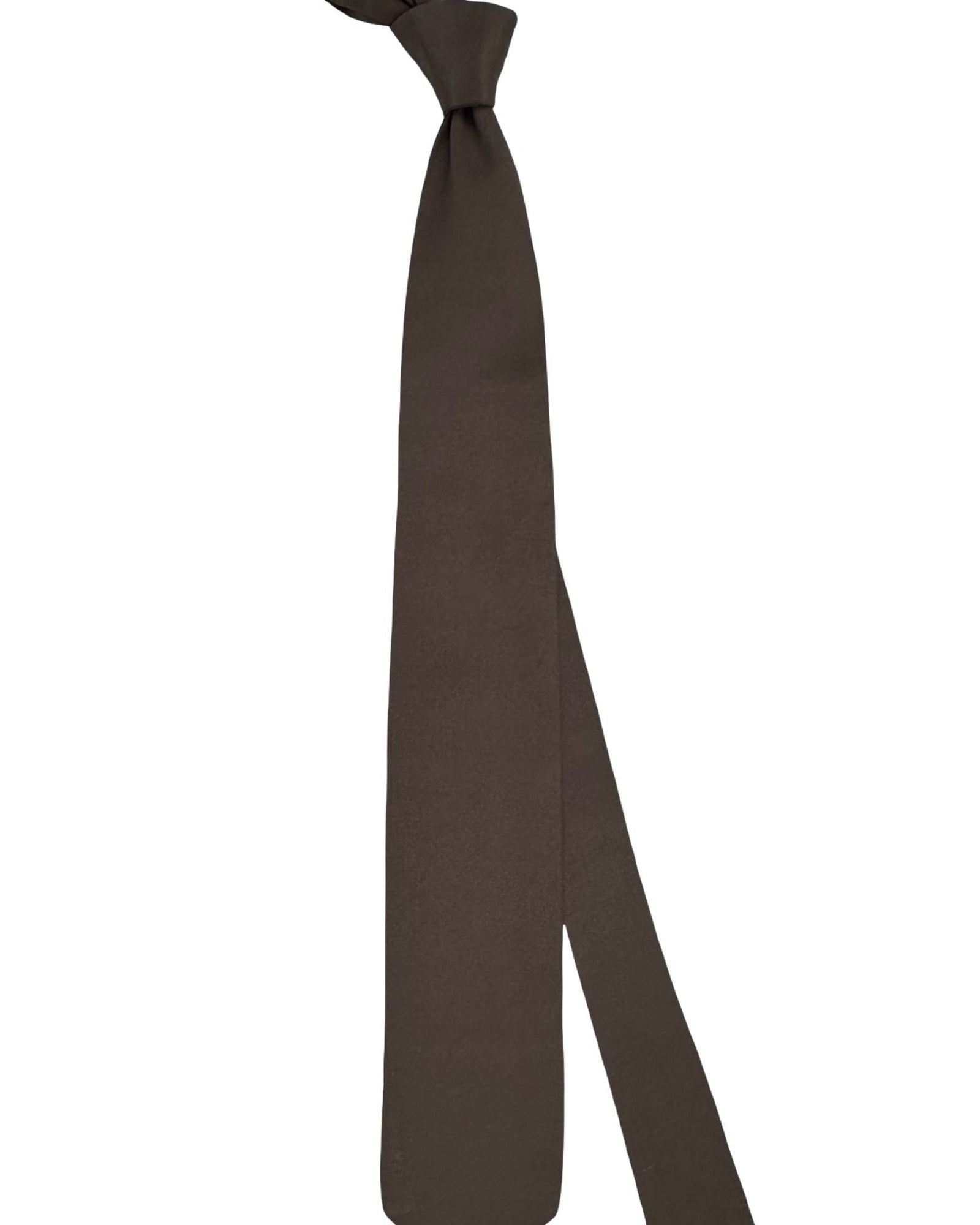 Ermenegildo Zegna Tie Brown Taupe Solid - XXX Couture - 2 Sided